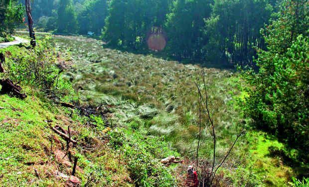 Kolleru wildlife sanctuary Kolleru wildlife sanctuary